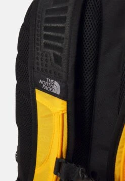 The North Face Borealis Classic Unisex - Rugzak - Summit Gold/Black 10 The North Face Borealis Classic Unisex - Rugzak - Summit Gold/Black -Next Verkoopwinkel 1b3dd28a67a145509e8f77e175d5976b