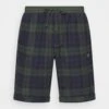 BJØRN BORG Core Flanell Shorts - Pyjamabroek - Blue/Green 10 BJØRN BORG Core Flanell Shorts - Pyjamabroek - Blue/Green -Next Verkoopwinkel 1fbd7d6d5ef74dc282e9253b889af082