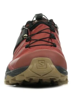 Salomon X Ultra 4 Gtx - Outdoorschoenen - Burnt Henna/Black/Dull Gold -Next Verkoopwinkel 2d6af0178b224b1d97700f82a144877a