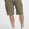Shorts - Olive Green 13 Shorts - Olive Green -Next Verkoopwinkel 38ca2d01c71d448da19ff98cbfb7562a