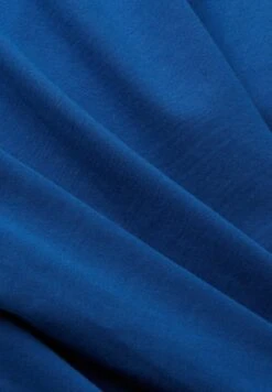 ESPRIT Mit Delfinprint - T-Shirt Basic - Bright Blue 11 ESPRIT Mit Delfinprint - T-Shirt Basic - Bright Blue -Next Verkoopwinkel 4c6a9d19a25e49b8a35f56d4e1779f75