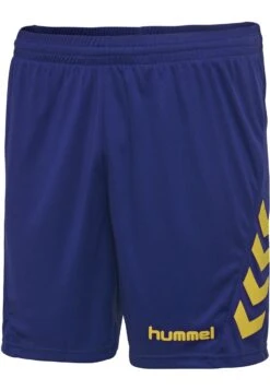 Hummel Duo Set - Korte Broeken - Sports Yellow/True Blue 12 Hummel Duo Set - Korte Broeken - Sports Yellow/True Blue -Next Verkoopwinkel 4f0935c0b9b94bb582fbc717cffe69df