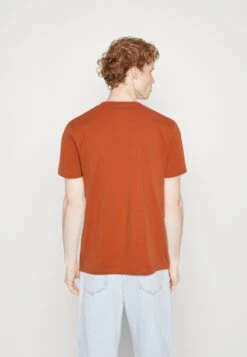 TOM TAILOR Denim T-Shirt Print - Soft Autumn Rust 8 TOM TAILOR Denim T-Shirt Print - Soft Autumn Rust -Next Verkoopwinkel 5ef0f85333c04e9fb2bb6aad5187ebc2