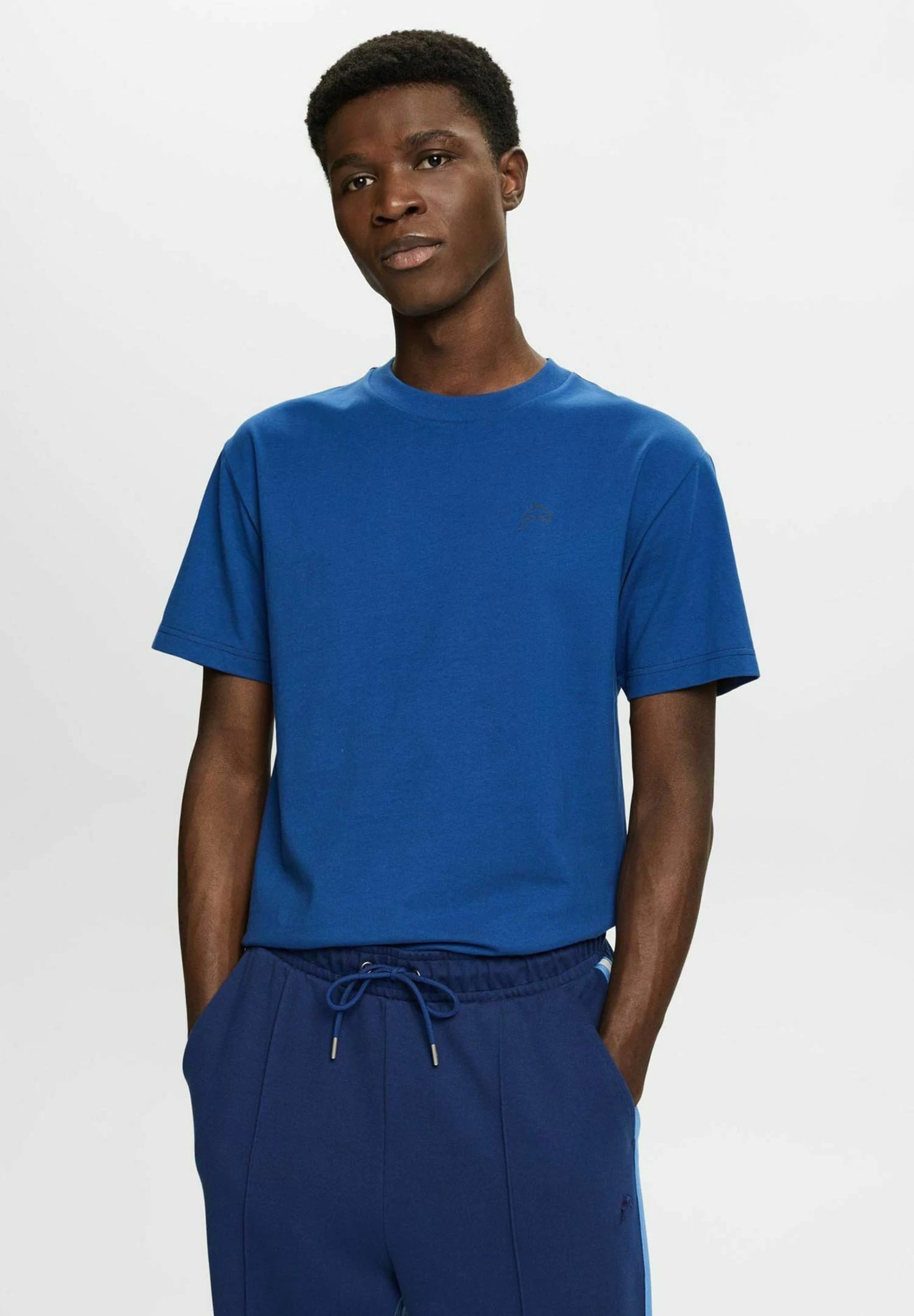 ESPRIT Mit Delfinprint - T-Shirt Basic - Bright Blue