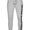 Alpha Industries Big Letters - Trainingsbroek - Grey Heather 18 Alpha Industries Big Letters - Trainingsbroek - Grey Heather -Next Verkoopwinkel 6b687239d2c64c208a4dbdcfdb5e903d