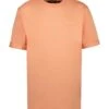 Cars Jeans Fester - T-Shirt Basic - Peach 14 Cars Jeans Fester - T-Shirt Basic - Peach -Next Verkoopwinkel 783825d9c2d941daa558908d328d2e9a