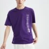 DeFacto Boxy Fit- T-Shirt Print - Purple 12 DeFacto Boxy Fit- T-Shirt Print - Purple -Next Verkoopwinkel 88dfc9bc672f40e69eb63eee82441ff8