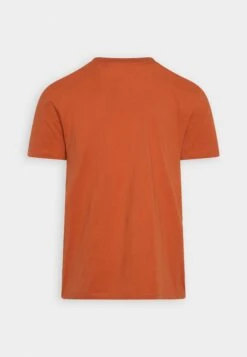 TOM TAILOR Denim T-Shirt Print - Soft Autumn Rust 11 TOM TAILOR Denim T-Shirt Print - Soft Autumn Rust -Next Verkoopwinkel afbc0e2023934ce6bcf2b1cc63aae8e2