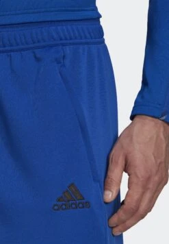 ADIDAS PERFORMANCE Away Days - Trainingsbroek - Team Royal Blue/Black 9 ADIDAS PERFORMANCE Away Days - Trainingsbroek - Team Royal Blue/Black -Next Verkoopwinkel bfe62e7a72b840f3b828b03a5ee22af7